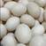 番鸭蛋林下养殖的新鲜番鸭蛋精品鸭蛋基地直发