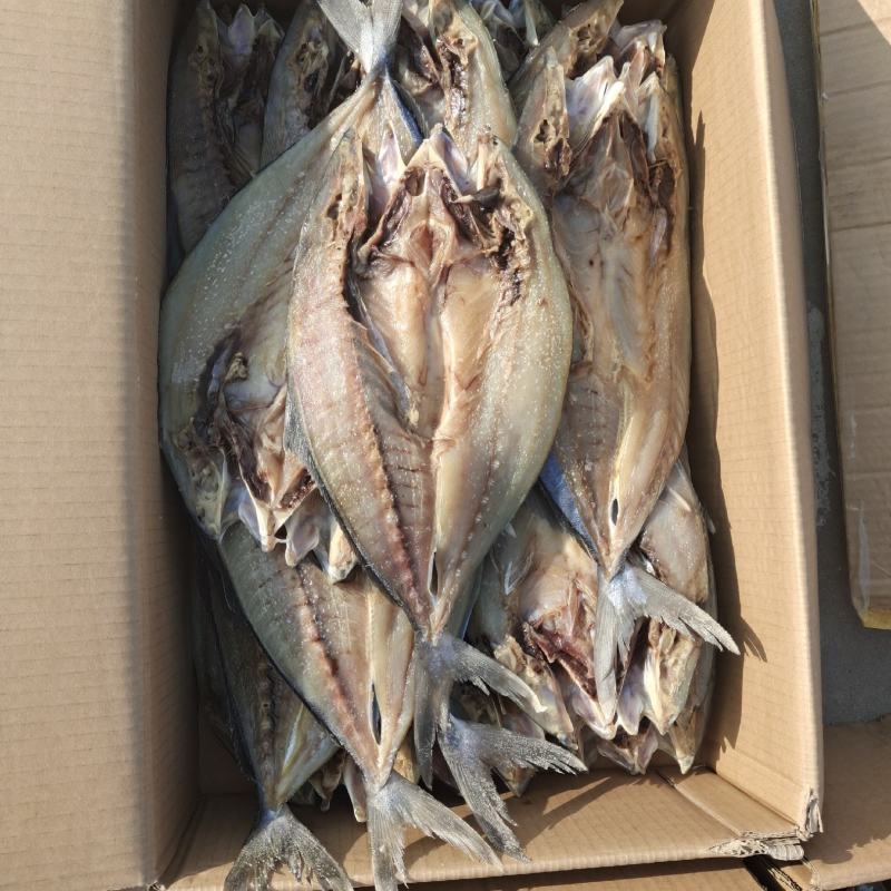 鲅鱼干黄金鲅鱼干开背去内脏产地直发无中间商品质保证