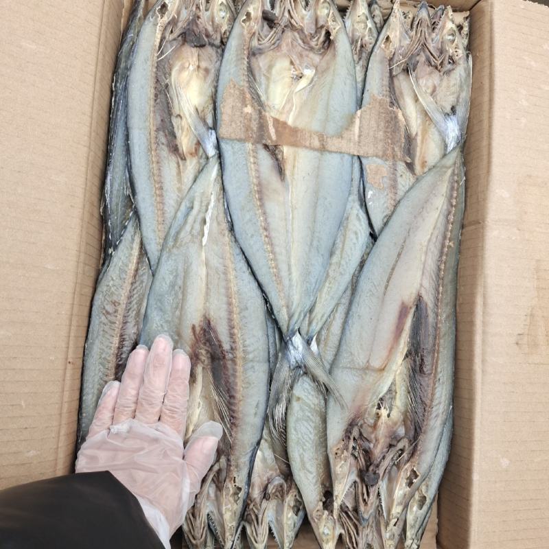 鲅鱼干黄金鲅鱼干开背去内脏产地直发无中间商品质保证