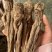 当归甘肃岷县野生全当归头片中药材特级正品一件代发