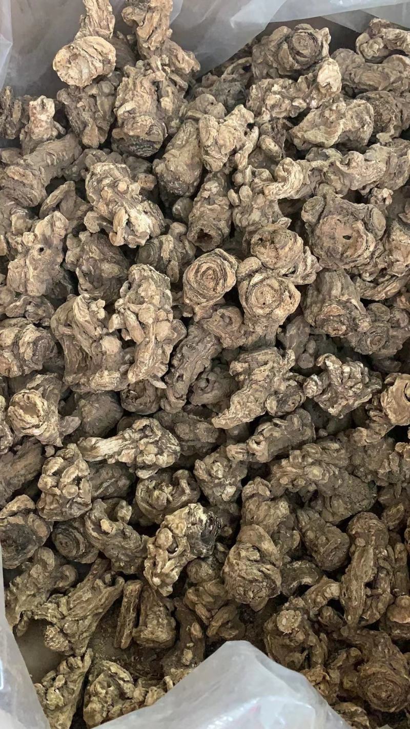 当归甘肃岷县野生全当归头片中药材特级正品一件代发