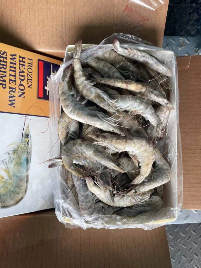 南美白虾，王牌