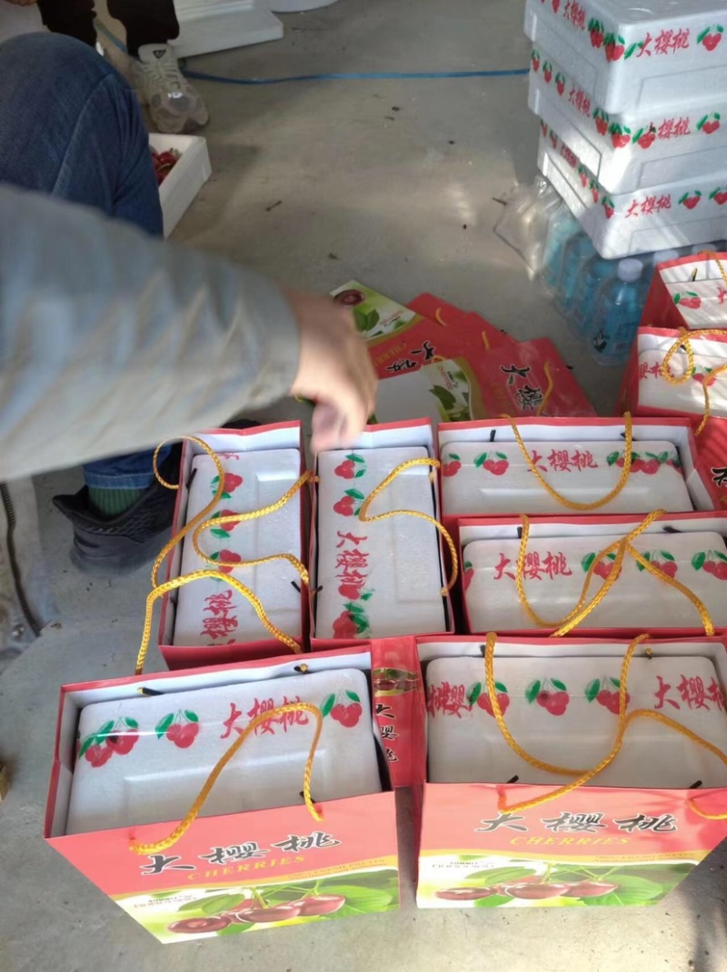 山东美早大樱桃车厘子批发零售一件代发电商批发商超