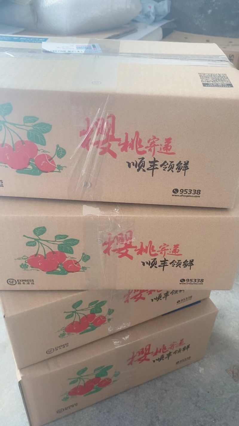 山东美早大樱桃车厘子批发零售一件代发电商批发商超