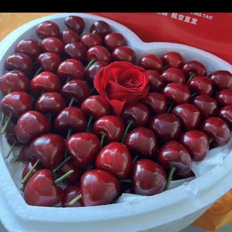 山东美早大樱桃车厘子批发零售一件代发电商批发商超