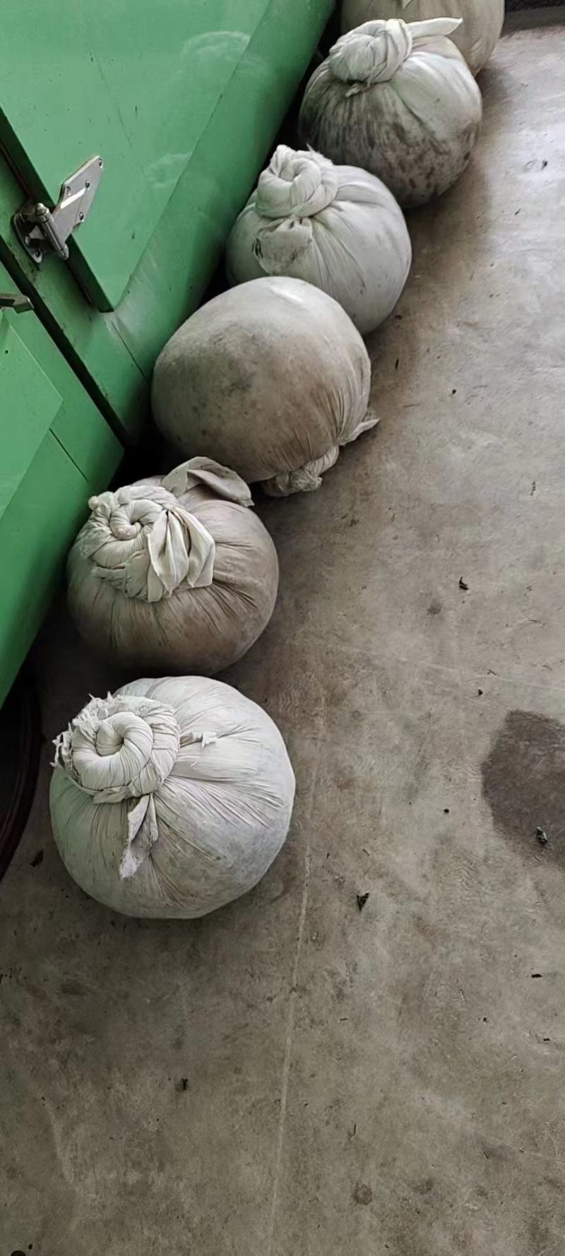 福建铁观音茶