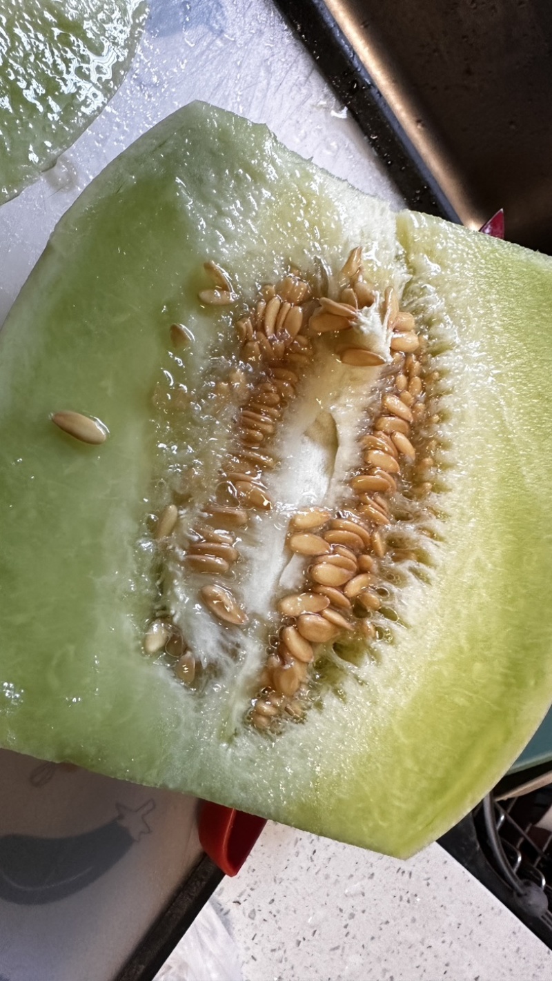 南汇本地玉菇