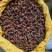 江西本地野生栀子黄栀子栀花茶泡茶红栀子粉中药材一件代发