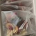 桂花红枣枸杞茶，规格:180克100盒/件，去年10月