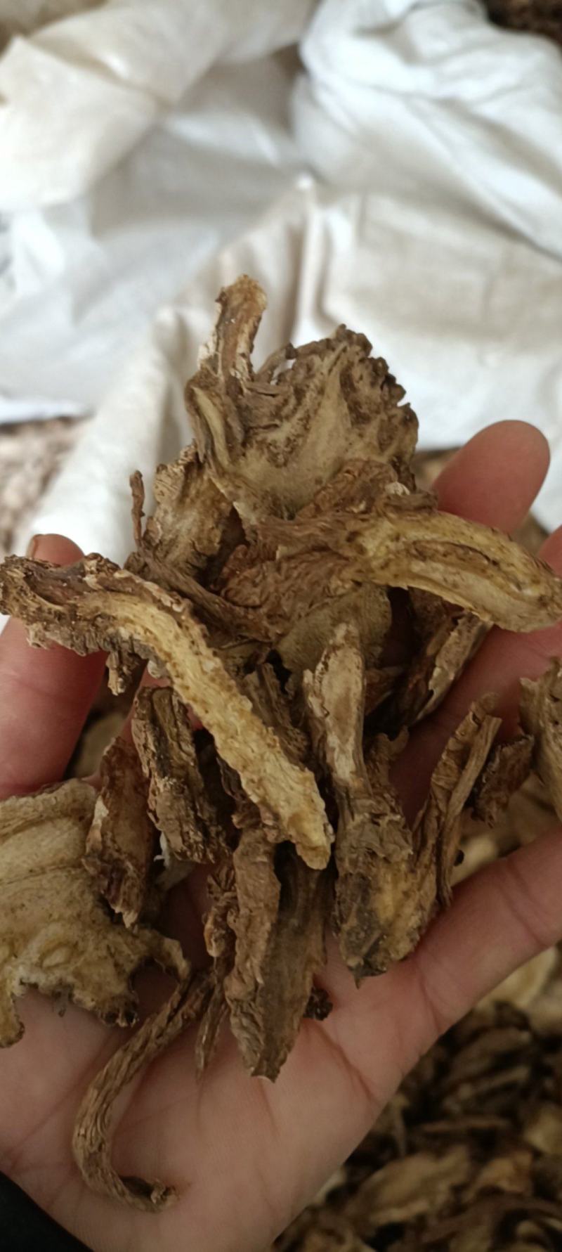 独活，过筛无硫，选货，量大从优，全国发货，欢迎选购
