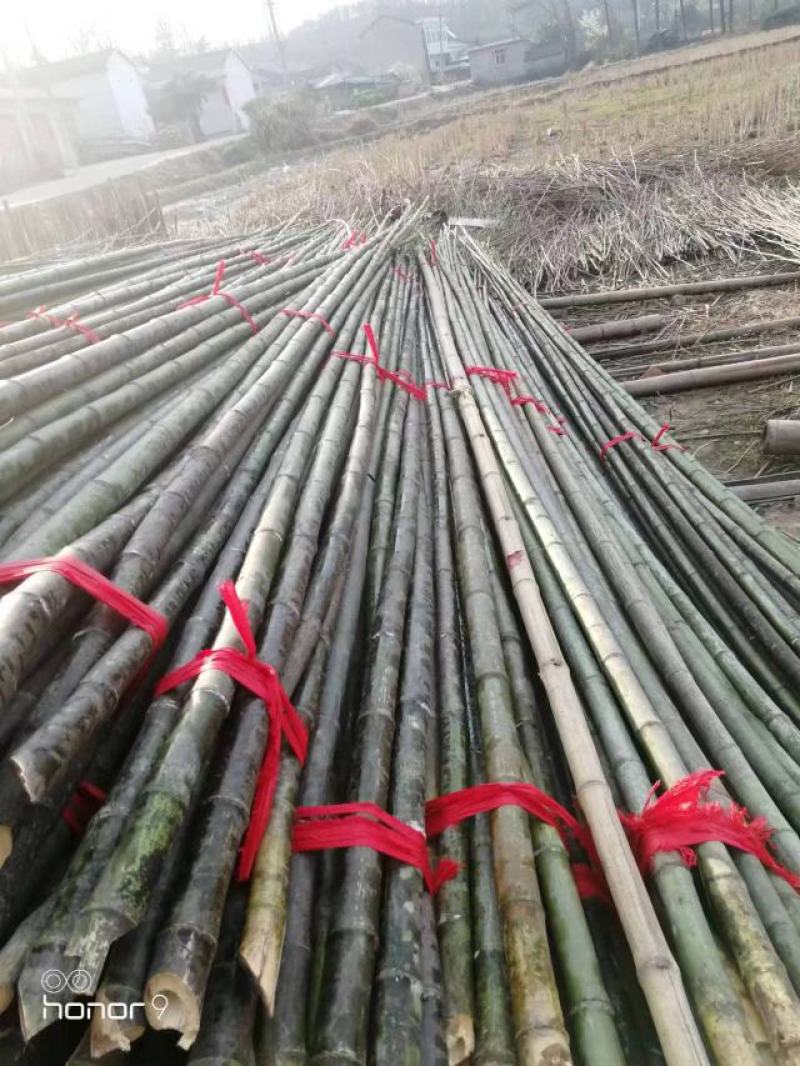 【精品竹竿】一手货源，精品保质量，货源稳定，大量出售