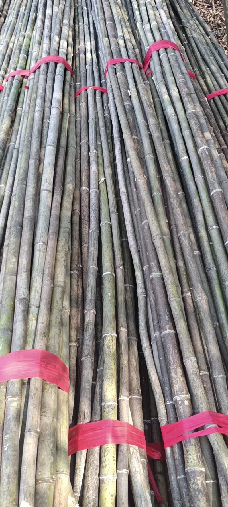 【精品竹竿】一手货源，精品保质量，货源稳定，大量出售
