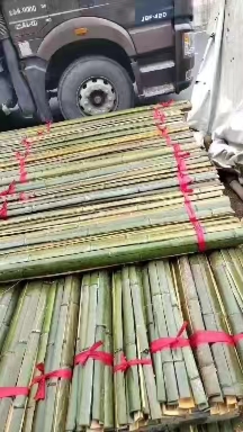 【精品竹竿】一手货源，精品保质量，货源稳定，大量出售