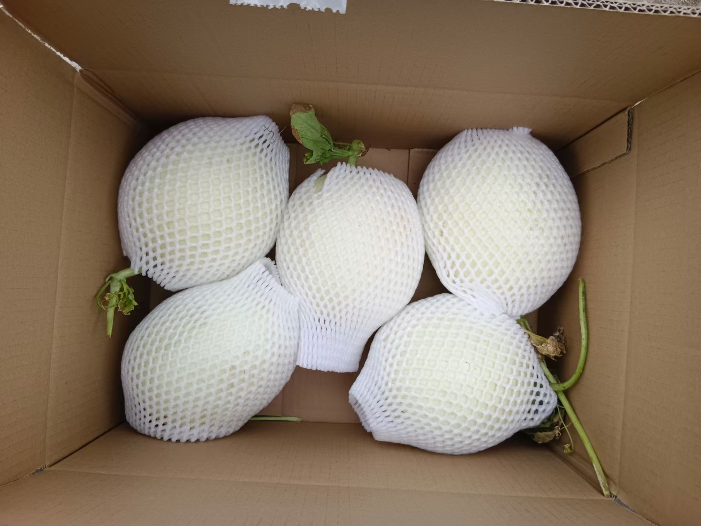 切开的玉菇甜瓜冷藏保存示意图