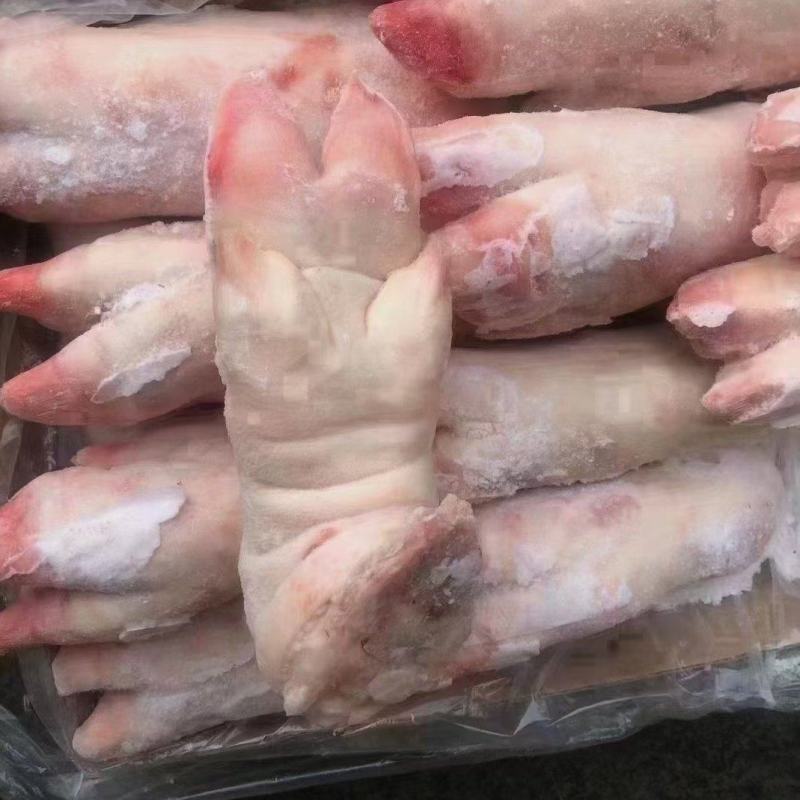 母猪一级带筋猪蹄，新货，长期生产，品质保证，供应稳定