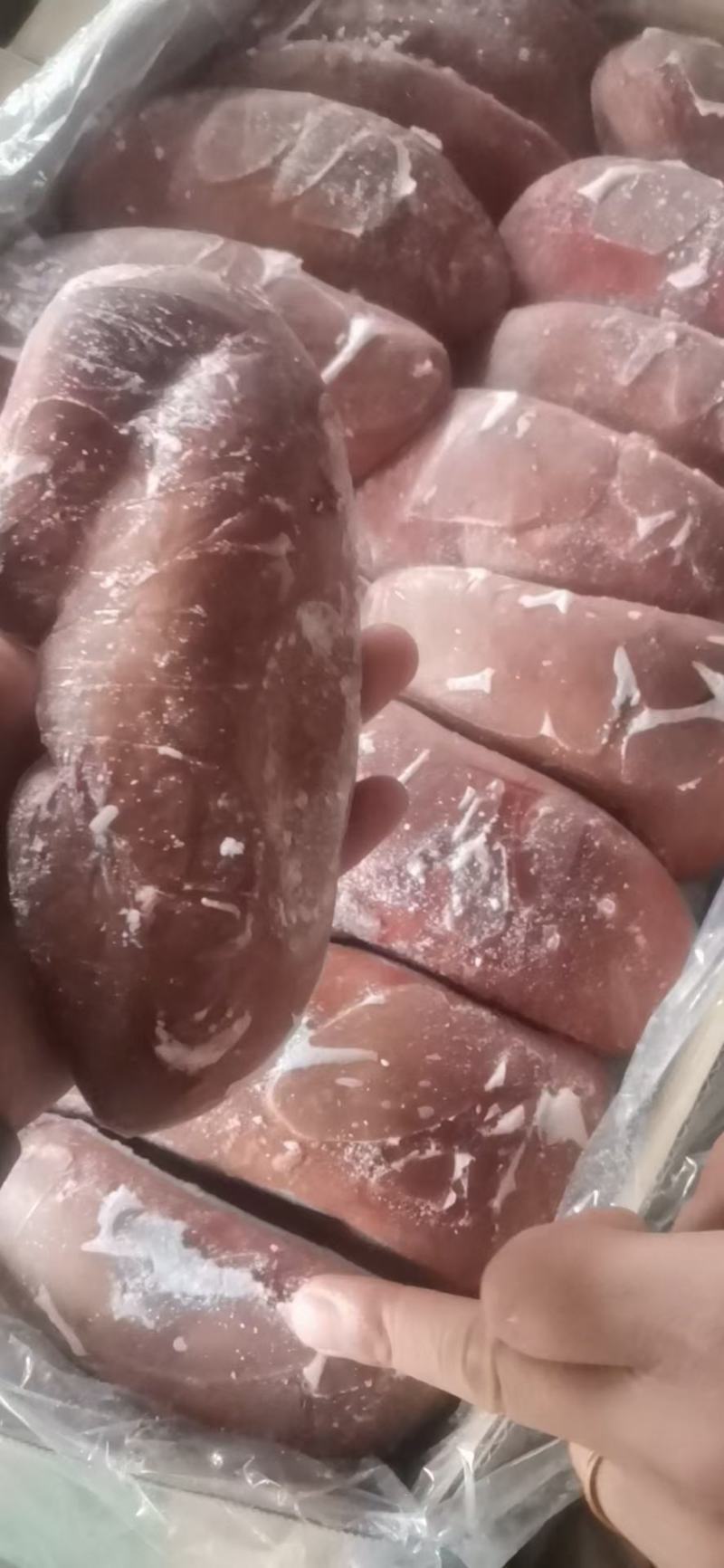母猪猪腰子，肥猪猪腰子，新货新产，供应稳定