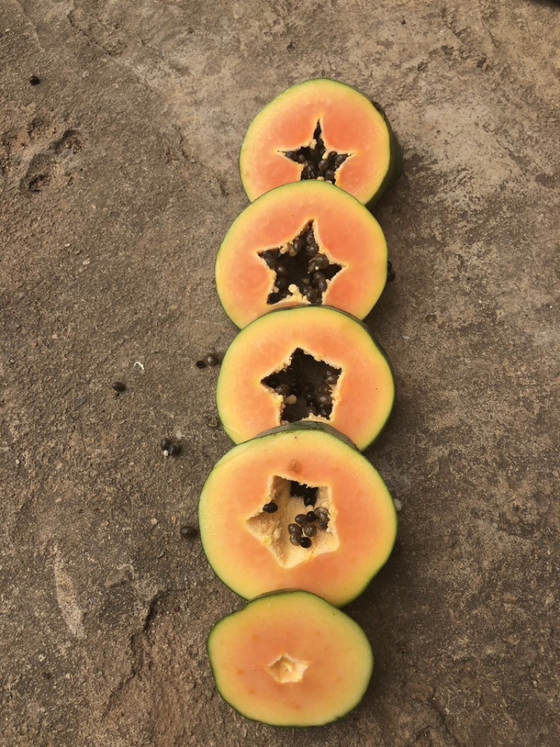 大青木瓜，有需要的老板联系我