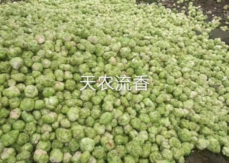 风干榨菜皮