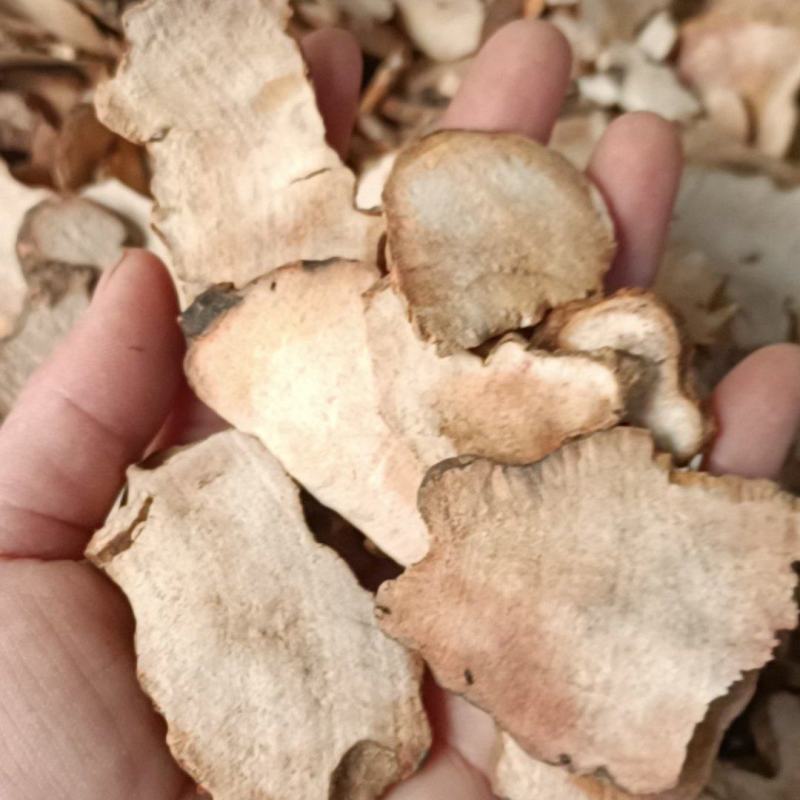 土茯苓，产地江西，过筛无硫，质量保证，全国发货
