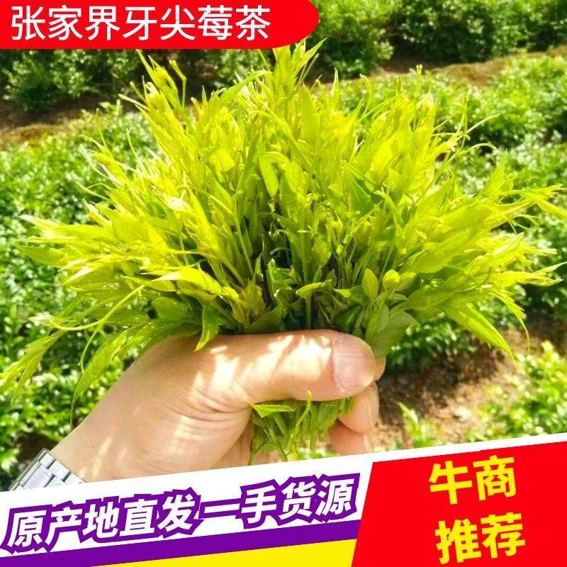 湖南莓茶，基地直发对接全国，可实地考察视频看货，欢迎来电