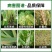 0.3%四霉素立枯病赤霉病细菌性角斑病根腐病杀菌剂