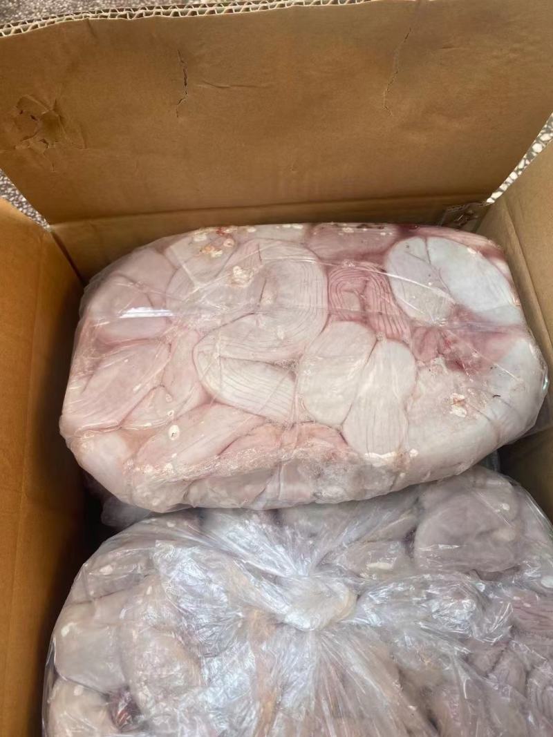 母猪小花肠，新货，新产，货源充足，供应稳定