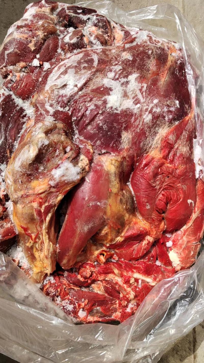 鲜冻牛肉，国产纯干牛肉牛前牛后，精修去油去筋