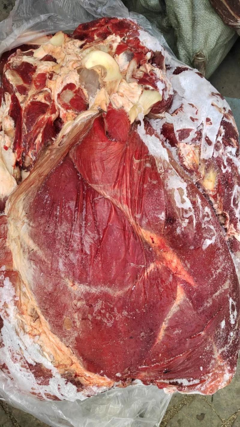 鲜冻牛肉，国产纯干牛肉牛前牛后，精修去油去筋
