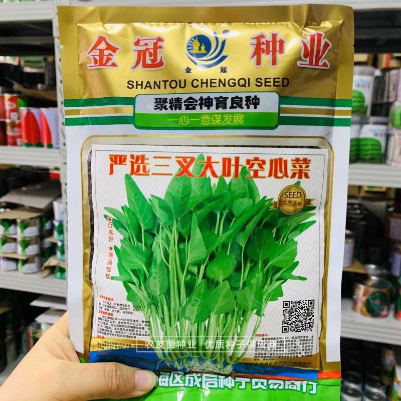 忠蔬正宗三叉空心菜种子一籽三叉空心菜旱地水地皆可种植