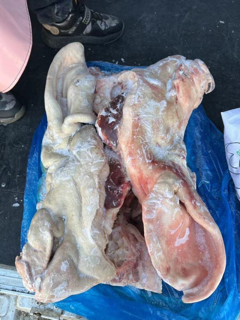 母猪带耳二级猪头，新货，货源稳定，厂家直销