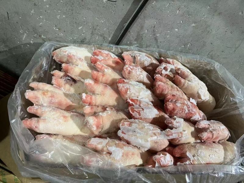 母猪二级带筋猪蹄，新货，货源充足，供应稳定