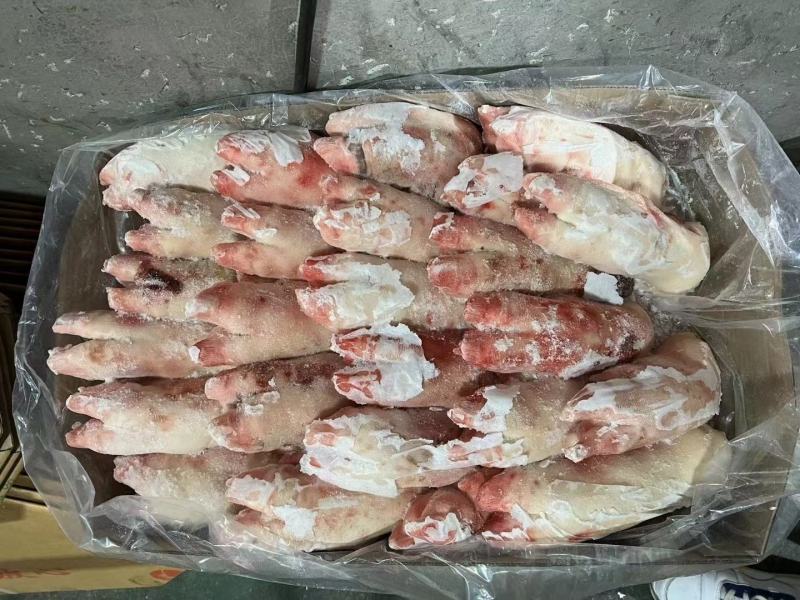 母猪二级带筋猪蹄，新货，货源充足，供应稳定