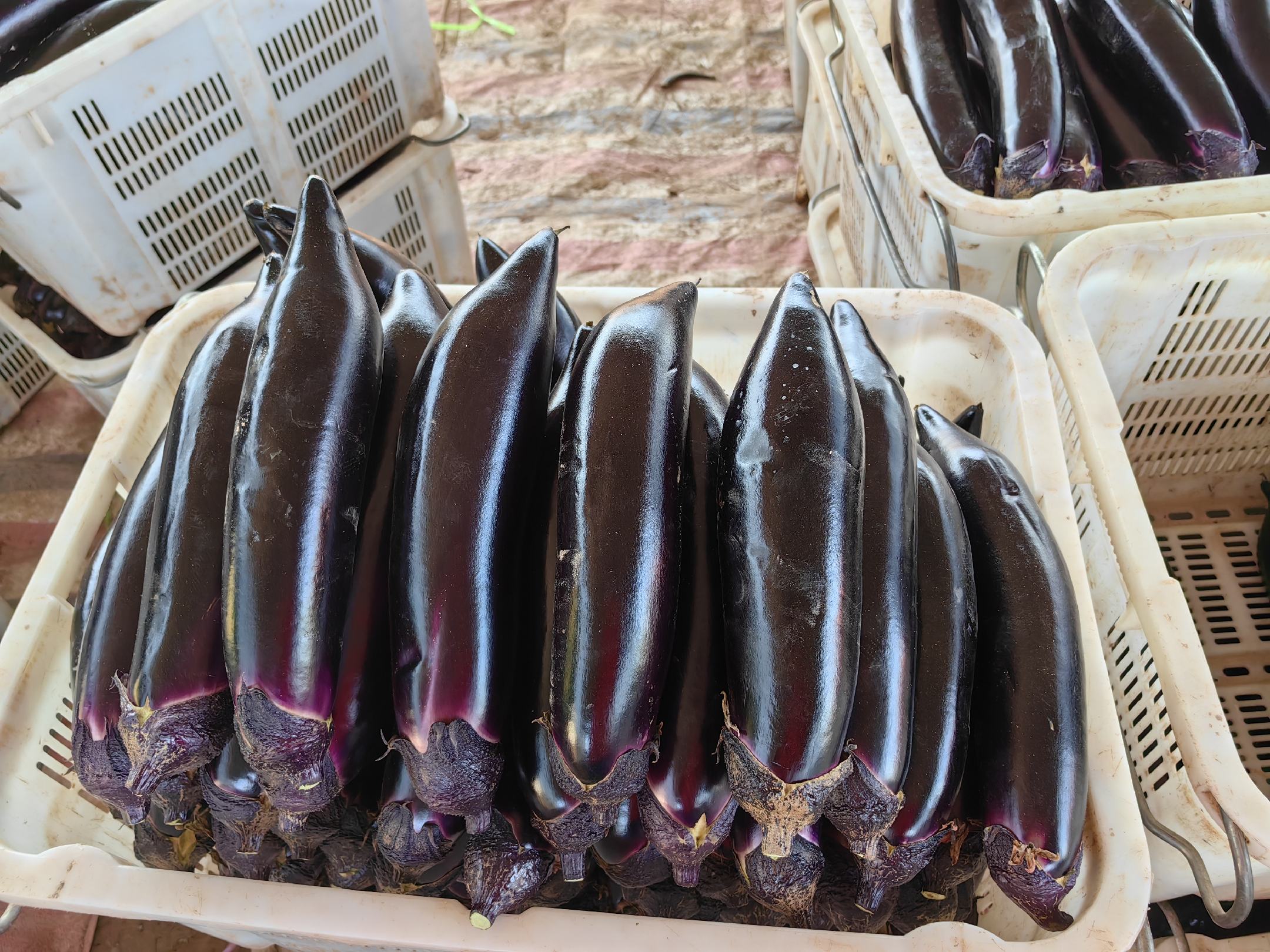青茄子在菜市场摊位展示图