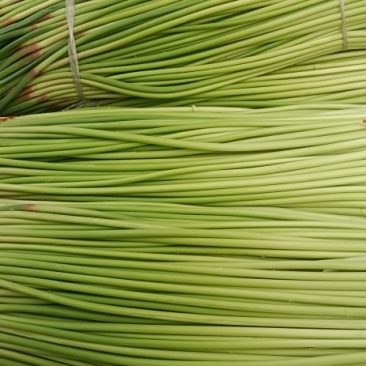精品红帽蒜苔大量有货可代发全国