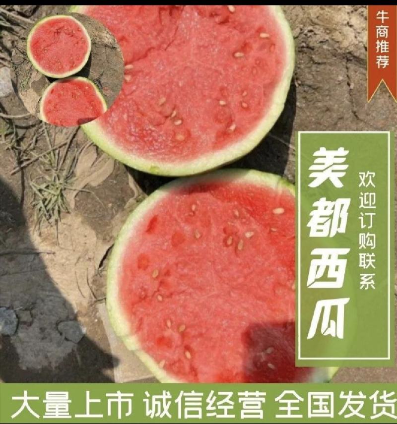 盐城大丰无籽美都西瓜，大量上市，口感好，瓜型圆润质量三包