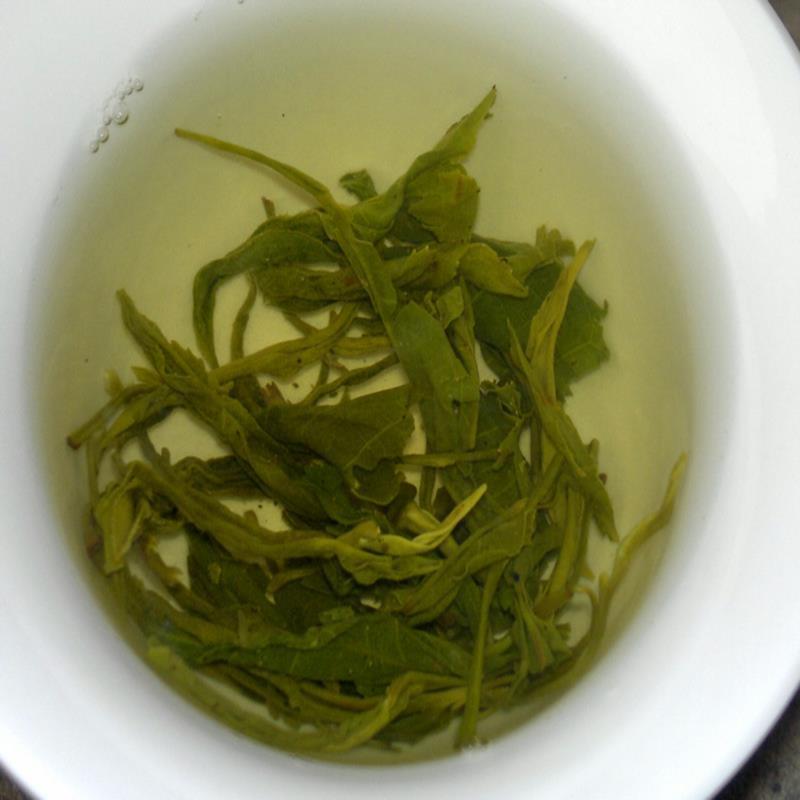 广东大叶青黄茶特级黄茶毛尖广东特产茶肇庆封开茶包邮