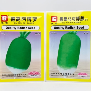 德高马可博萝水果萝卜种子高产青皮青肉薄皮脆甜青萝卜种原装