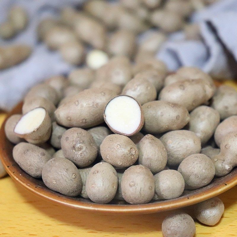 新鲜山药豆铁棍淮山豆河南焦作温县特产中号糖葫山药
