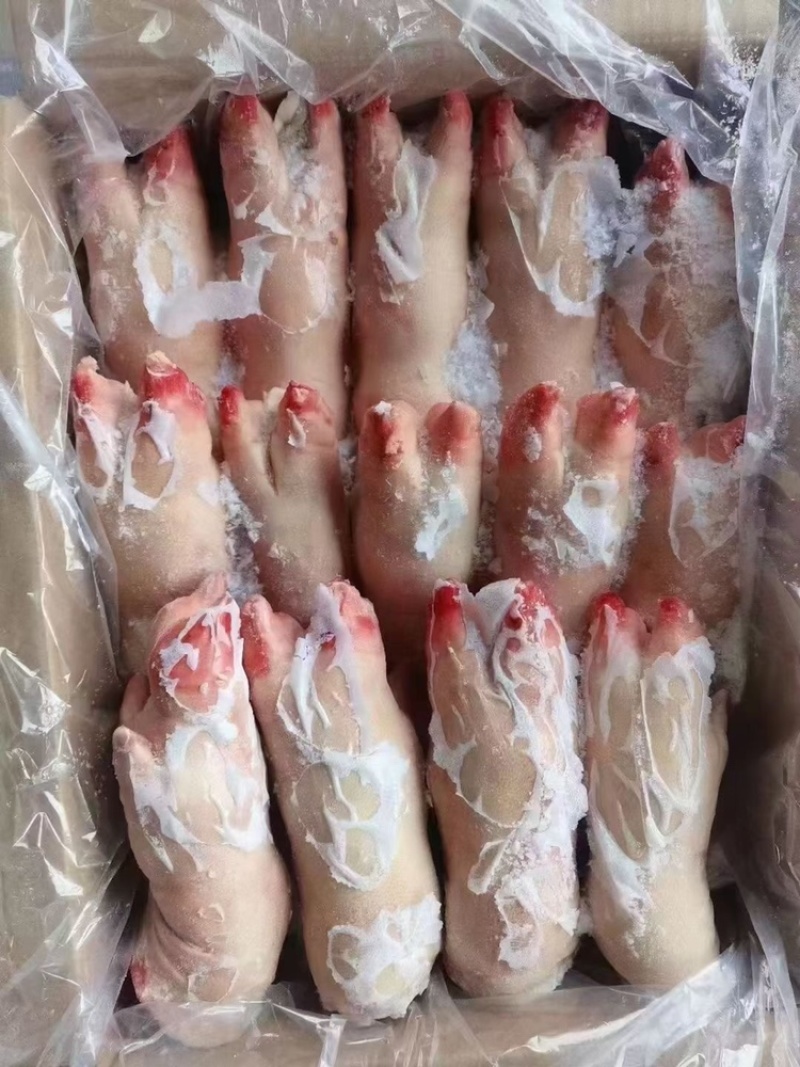 一级带筋前蹄一手货源证件齐全全国发货食材供应