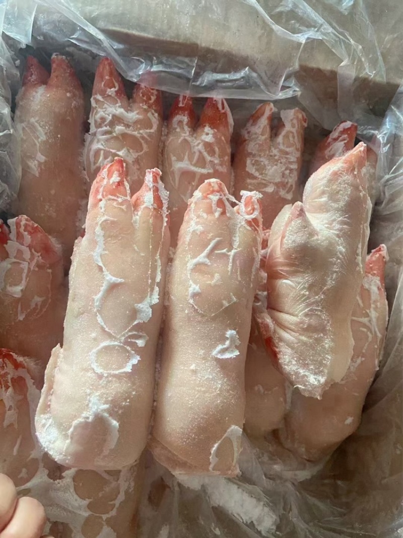 一级带筋前蹄一手货源证件齐全全国发货食材供应