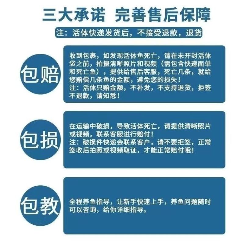 活鱼冷水观赏鱼懒人鱼养不死耐活锦鲤鱼苗活