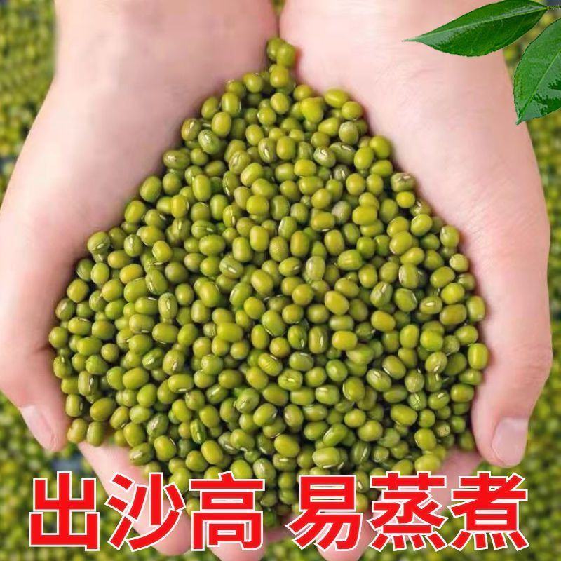 新豆绿豆新货农家自产绿豆绿豆糕饼绿豆汤材料绿豆特