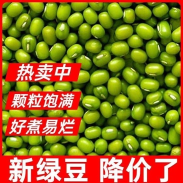 新豆绿豆新货农家自产绿豆绿豆糕饼绿豆汤材料绿豆特