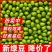 新豆绿豆新货农家自产绿豆绿豆糕饼绿豆汤材料绿豆特