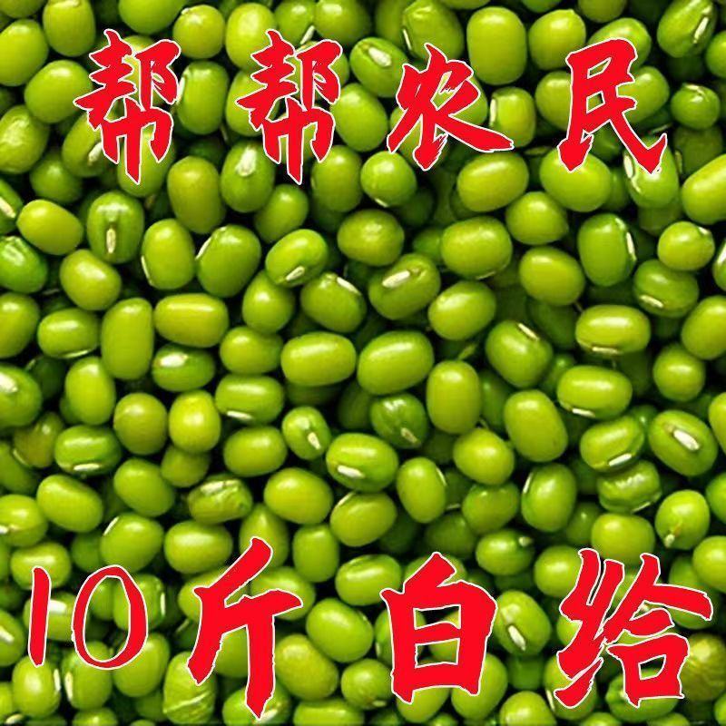 新豆绿豆新货农家自产绿豆绿豆糕饼绿豆汤材料绿豆特