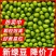 新豆绿豆新货农家自产绿豆绿豆糕饼绿豆汤材料绿豆特