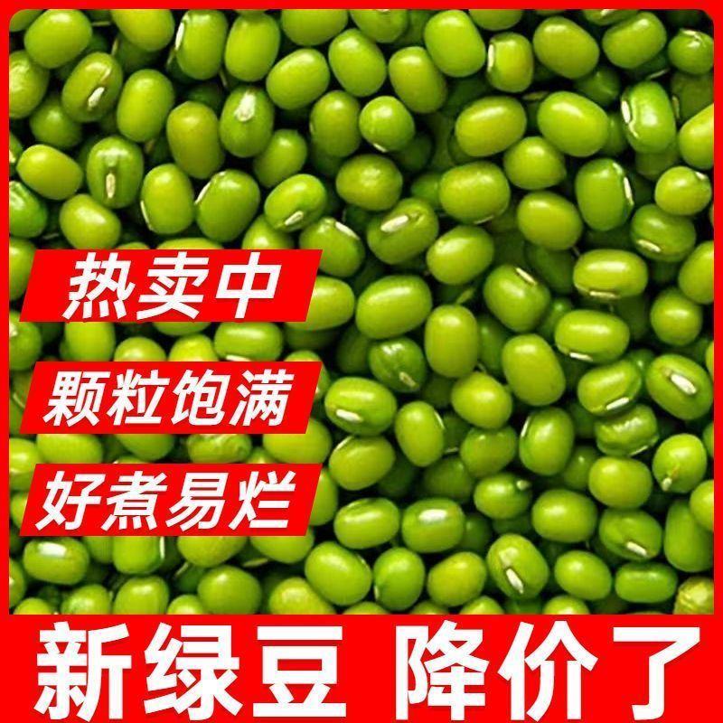 新豆绿豆新货农家自产绿豆绿豆糕饼绿豆汤材料绿豆特