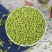 农家绿豆新绿豆绿豆粥解暑绿豆汤笨绿豆发豆芽绿豆糕