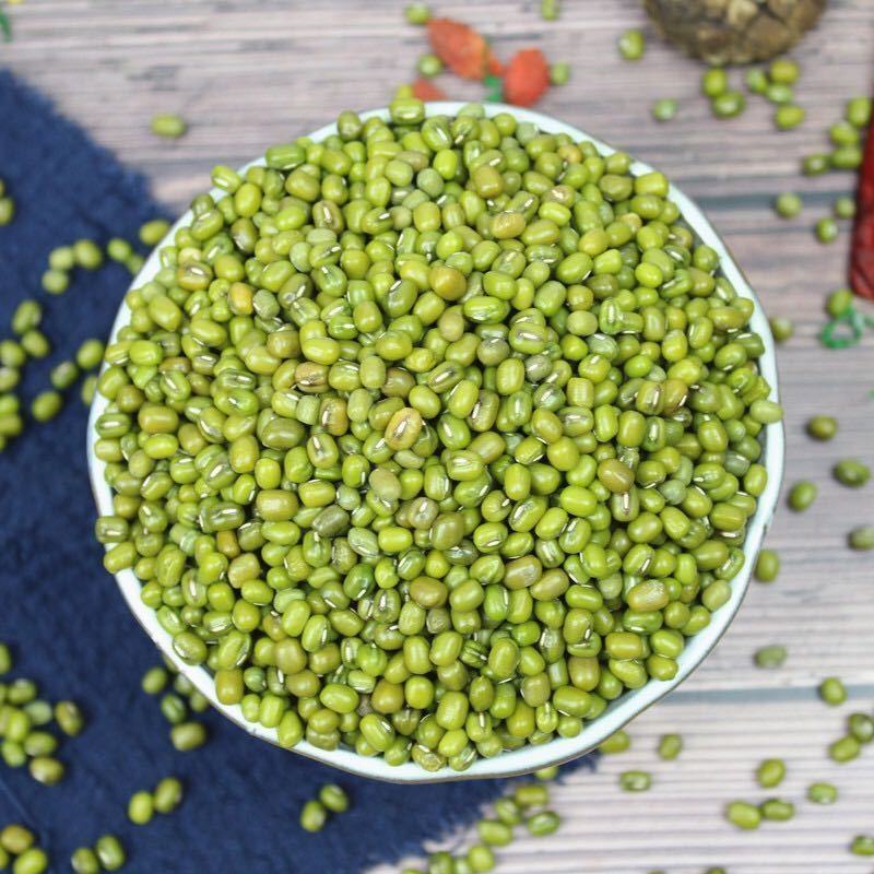 农家绿豆新绿豆绿豆粥解暑绿豆汤笨绿豆发豆芽绿豆糕