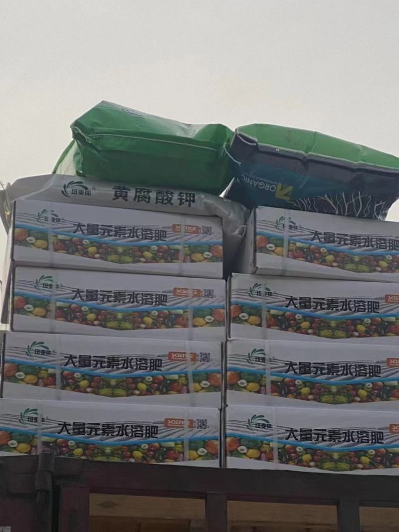 大量元素水溶肥（高氮型）冲施肥生根壮苗提苗催芽